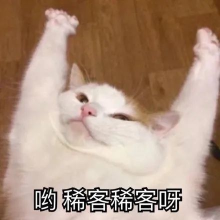 潮图表情包:猫猫阴阳怪气的表情