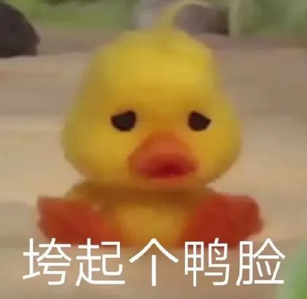 潮图表情包:小黄鸭的表情,我好好看呀