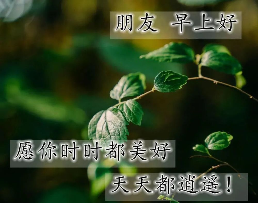 朋友圈温馨早上好祝福图片分享 每日最新早安祝福带字