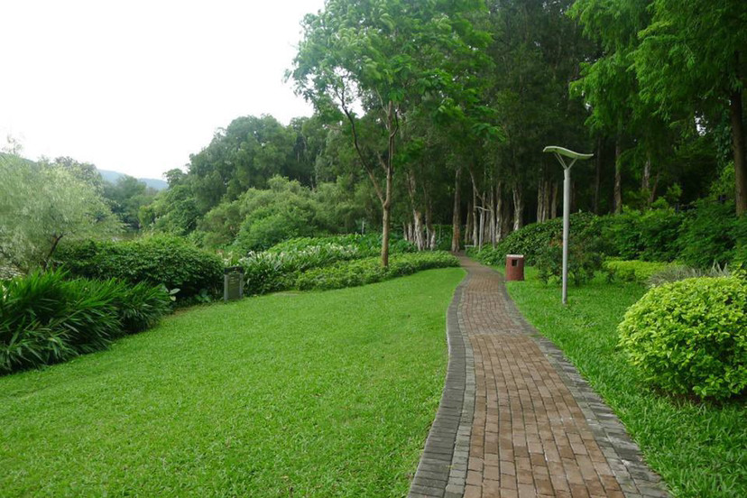 隐藏在城市中静谧花园城市的天然氧吧广州麓湖公园