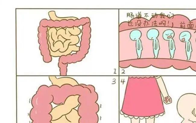 总是肚子胀怎么回事?看后瞬间明白!