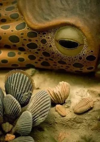 一种困扰了古生物学家140多年的生物,同样也是奥陶纪的常见生物