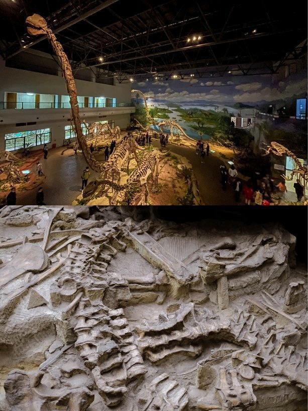 安排!娃想看的"自贡恐龙博物馆",一探恐龙化石真迹恐龙