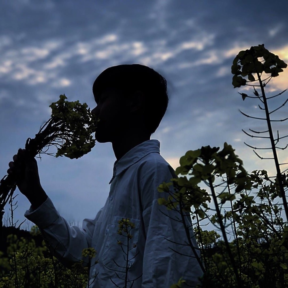 真人男生头像江碧鸟逾白山青花欲燃