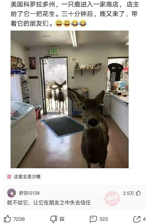 成语什么遗容_陈晓旭葬礼遗容(3)