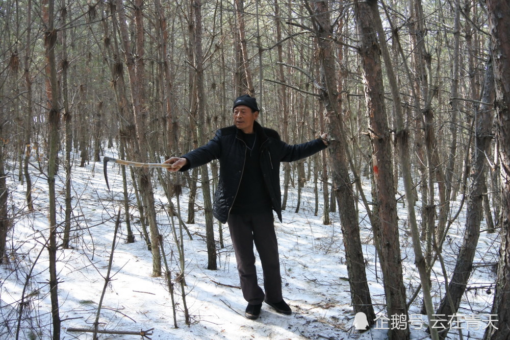 宁安市三陵乡红土村70岁的吴庆荣老人,介绍与东北虎对峙的过程.