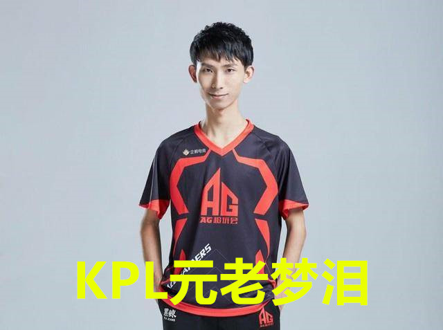 "网友脑补kpl成立名人堂,梦泪,猫神多位选手被提名
