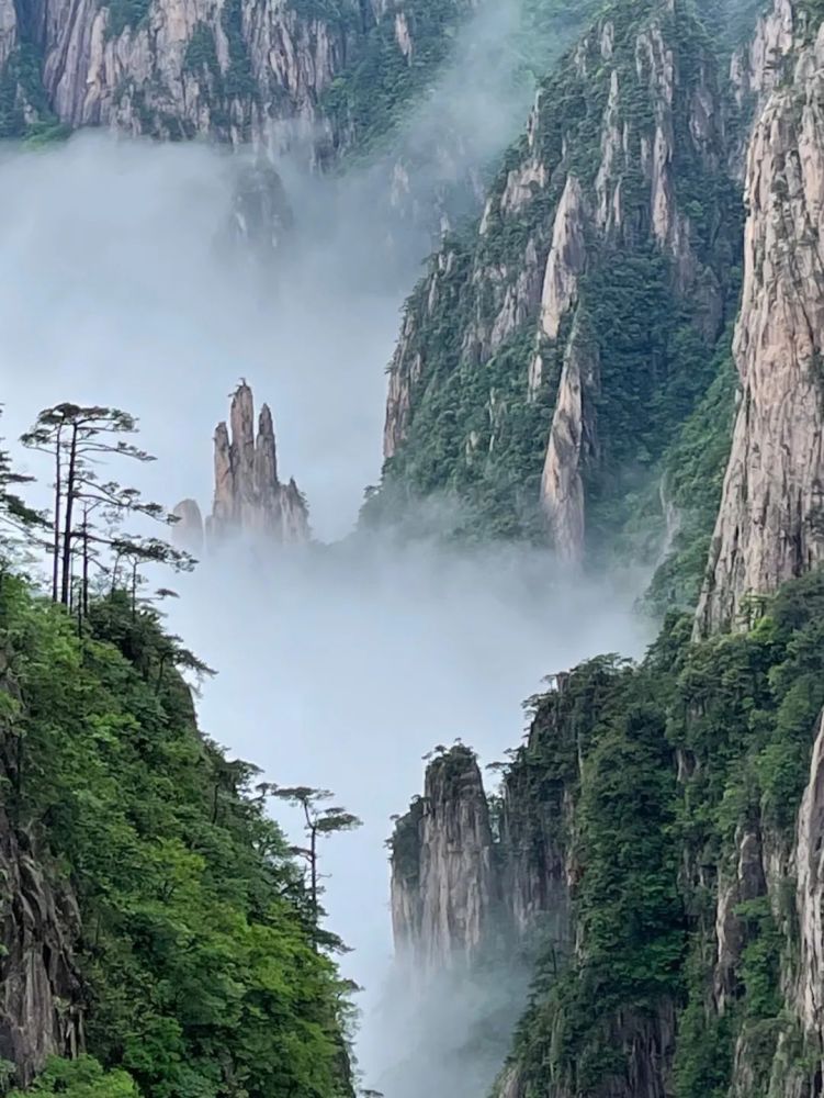 影像欣赏|雨后黄山 云海翻腾