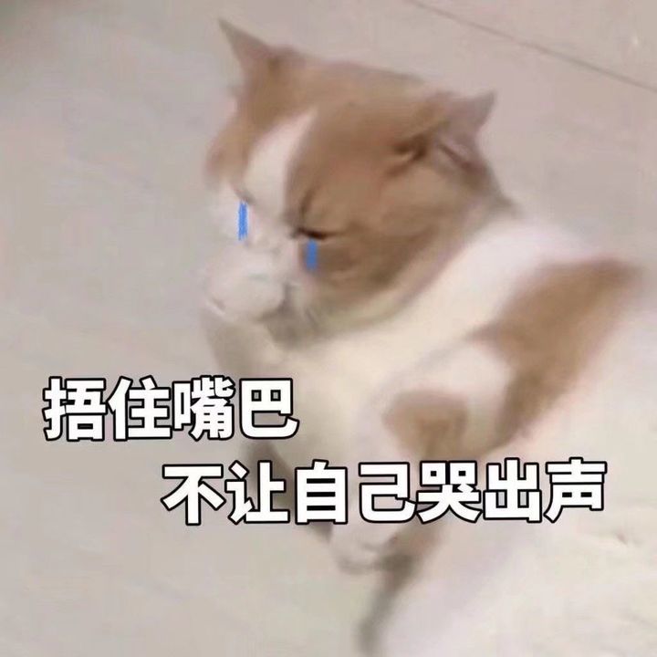 委屈表情包丨兄弟们蚌埠住了