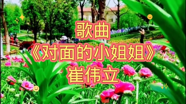 歌曲对面的小姐姐崔伟立