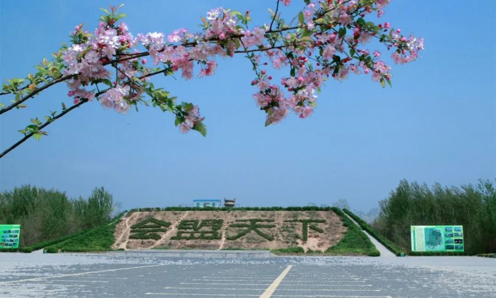 第14届夏津黄河故道森林公园椹果生态文化节