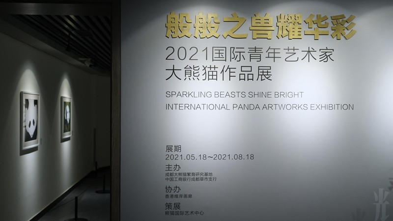 持续三个月!成都熊猫基地推出全新大熊猫主题艺术展