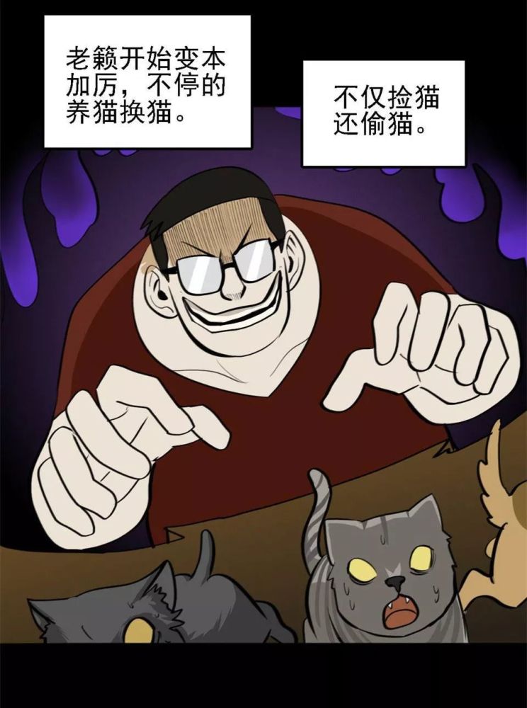 人性恐怖漫画《猫的诅咒》,这样的人活该遭报应!