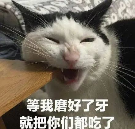表情包Ⅰ恶龙咆哮!