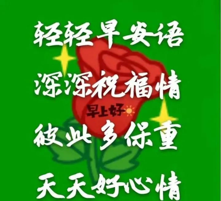 5月19日早上好花开灿烂靠阳光人生幸福靠健康祝愿健康又阳光幸福如意