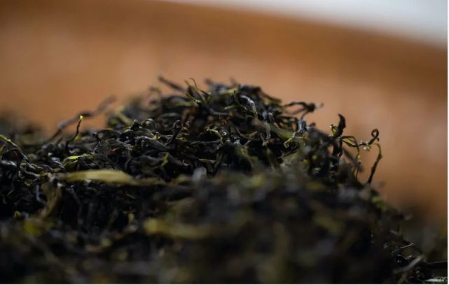 乌岽单丛,高山茗香,茶人日食的小批量品鉴茶
