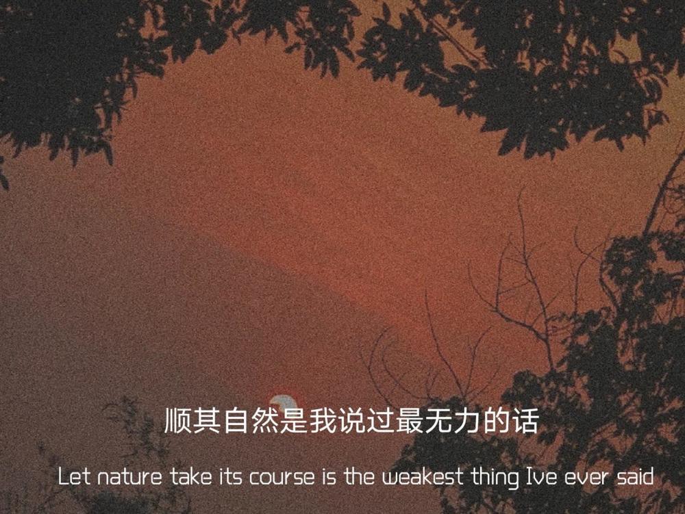 文字背景|顺其自然是我说过最无力的话