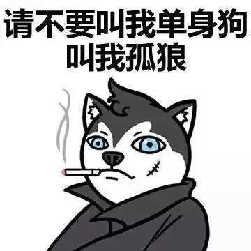 520单身狗朋友圈配图