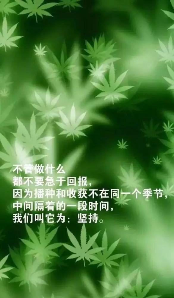 触动人心的心灵鸡汤经典励志语录,句句经典