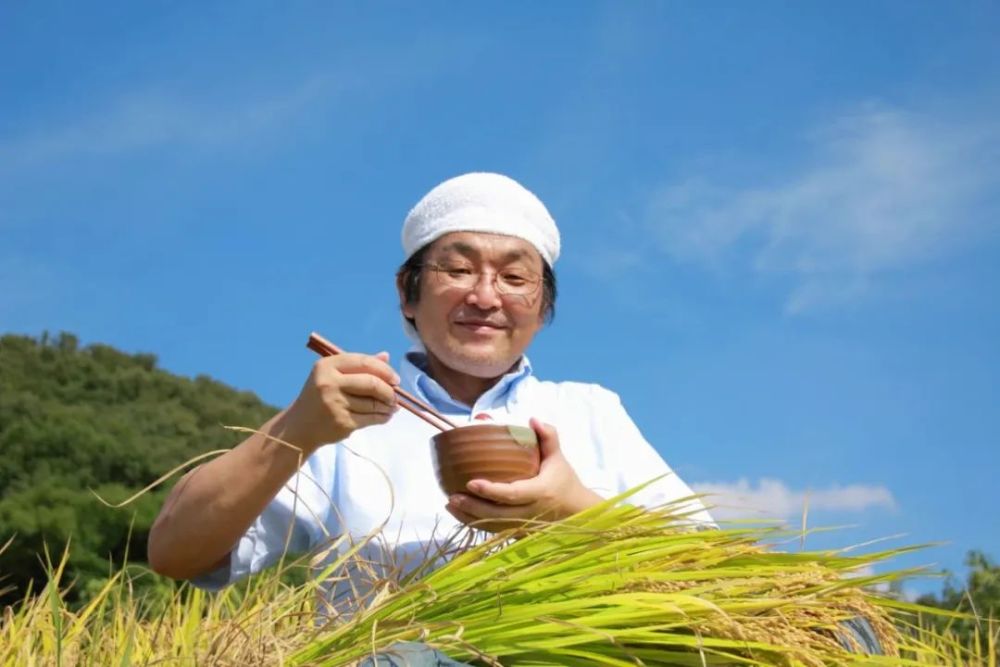 导语: 日本农业走上高端化,精细化的道路,并非一蹴而就.