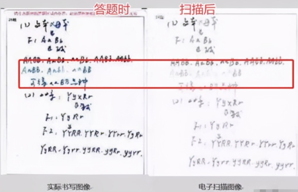 高考为何规定使用2b铅笔看过电脑扫描的试卷你就能明白了