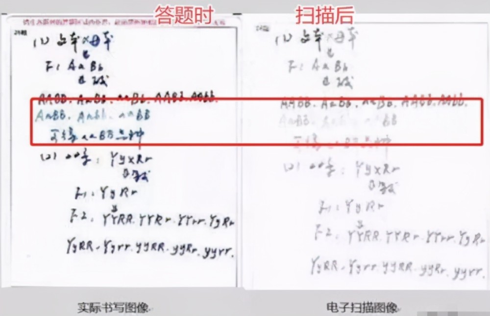 高考为何规定使用"2b铅笔",看过电脑扫描的试卷,你就能明白了