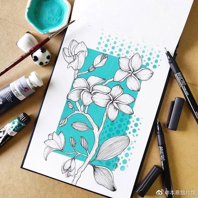 装饰画|有色针管笔花卉