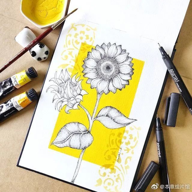 装饰画|有色针管笔花卉