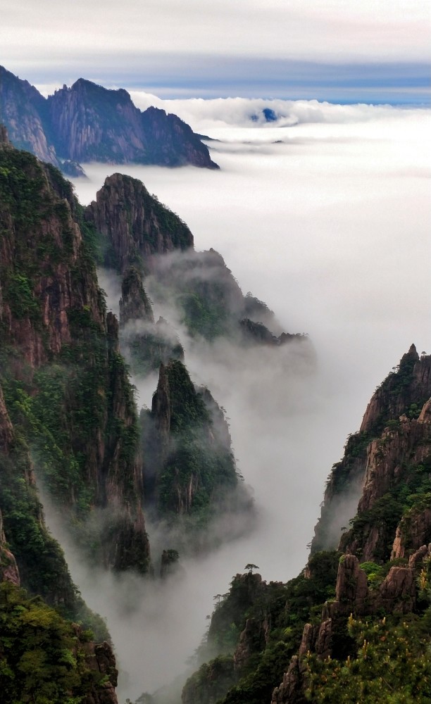 雨后黄山云海翻腾