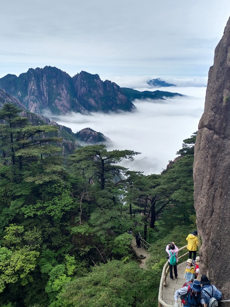 雨后黄山云海翻腾