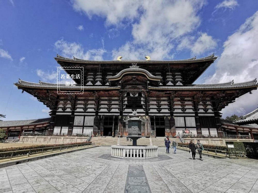 古色古香的日本奈良,一日游景点攻略懒人包,顺便来奈良公园撸鹿