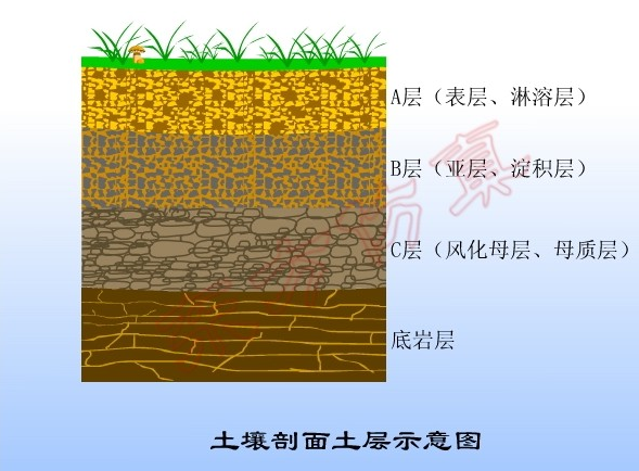 准备:土壤剖面土层示意图 提醒学生在制作雨量器时,注意工具使用安全