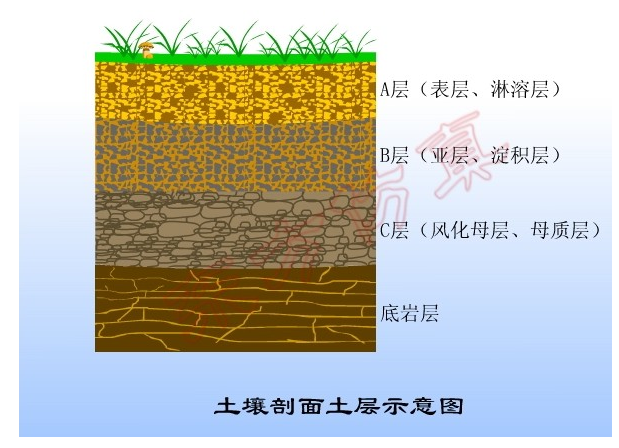 stem活动教案我们去挖土