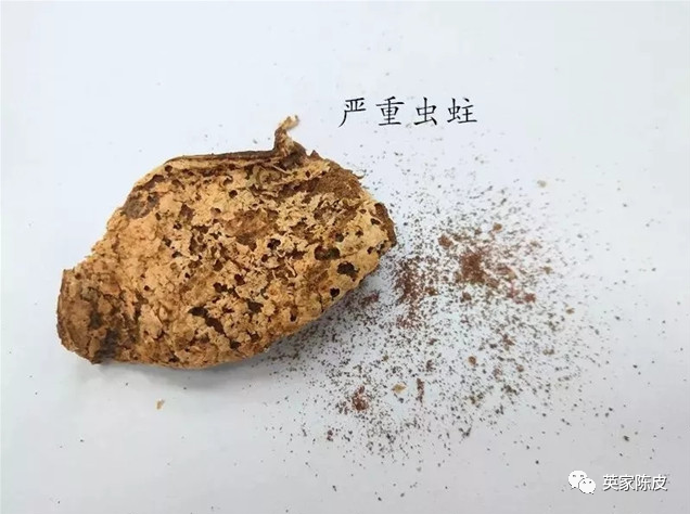 陈皮被虫蛀了该怎么办?还能吃吗?看这一篇就够了!——英家陈皮