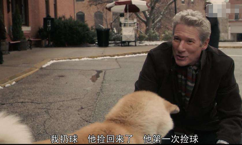 《忠犬八公的故事》:忠诚的意义在于,不应该忘记爱过的每一个人