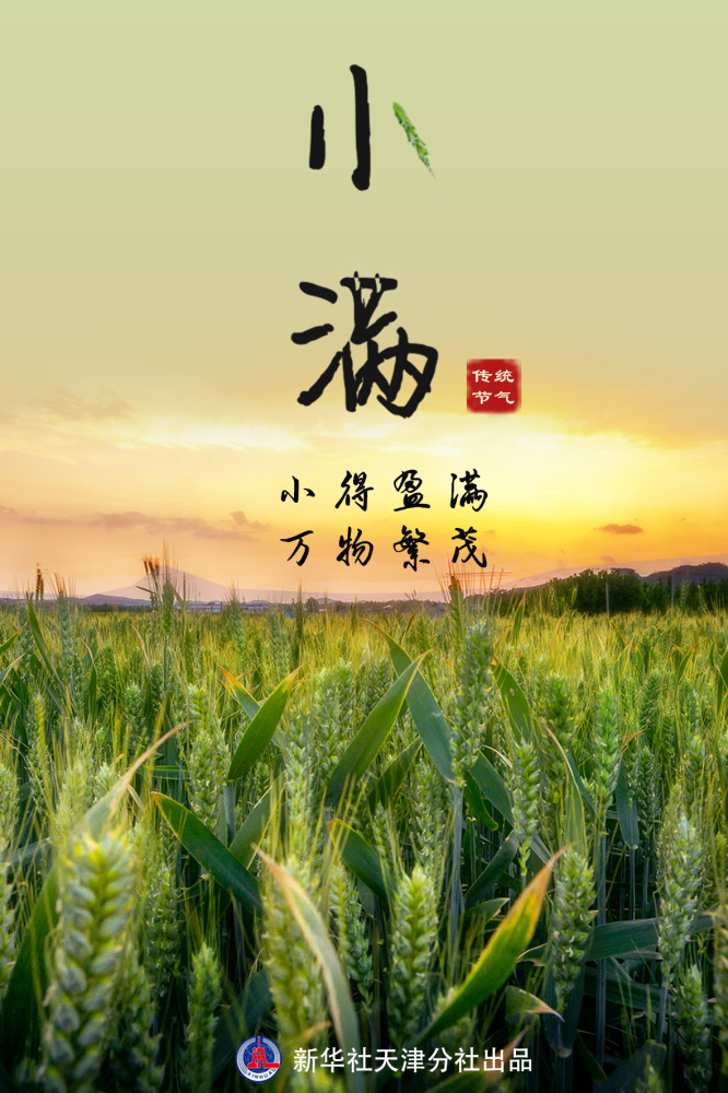 21日"小满":麦穗初齐,桑叶正肥