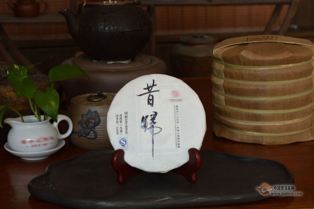 解读昔归当下最火的古树普洱茶