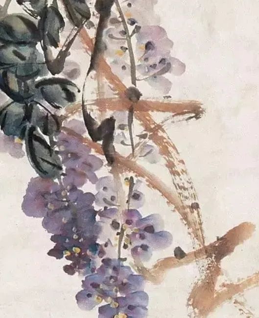 吴昌硕 《紫藤》 吴昌硕最擅长大写意花卉,工于藤本植物,在挥运之际