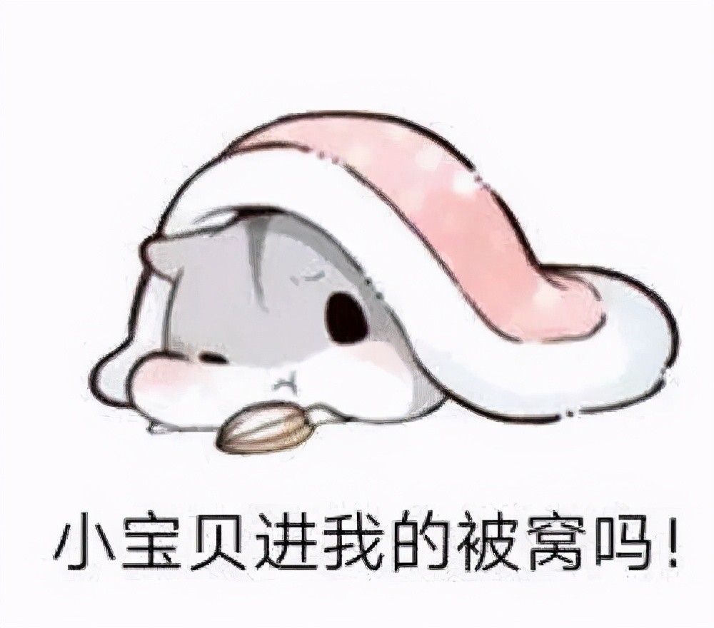 520专属表情包,超甜的小仓鼠,兄弟姐妹们我只能帮到这