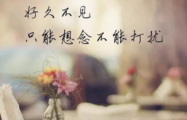 深深思念的悲伤句子,句句催泪!