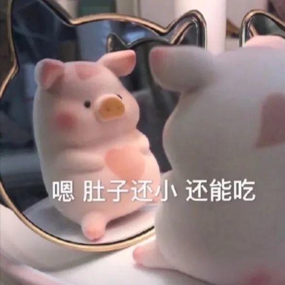 表情包|小猪宝