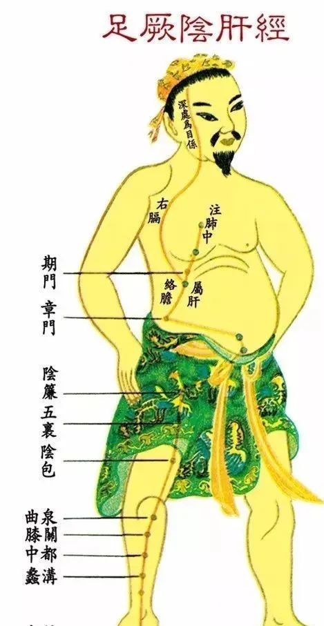 肝胆经 腾讯网