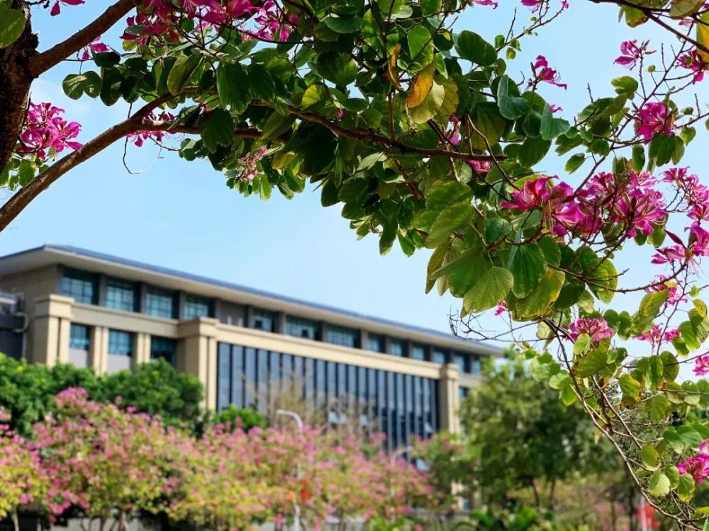 再见,东莞理工学院城市学院!