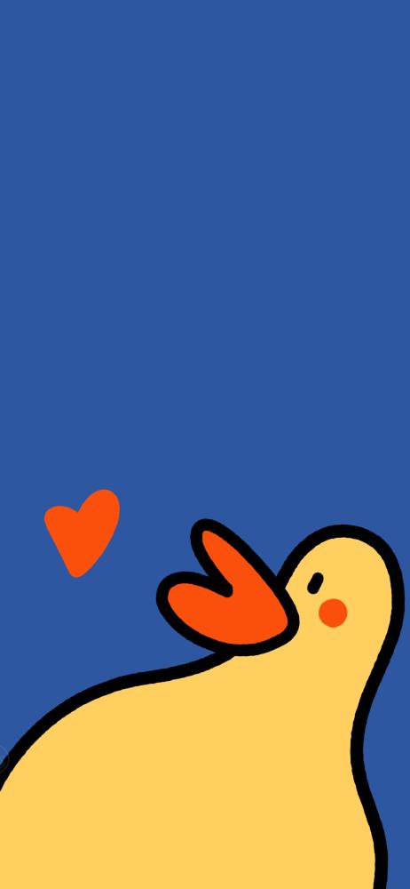 今日壁纸|可爱的小黄鸭