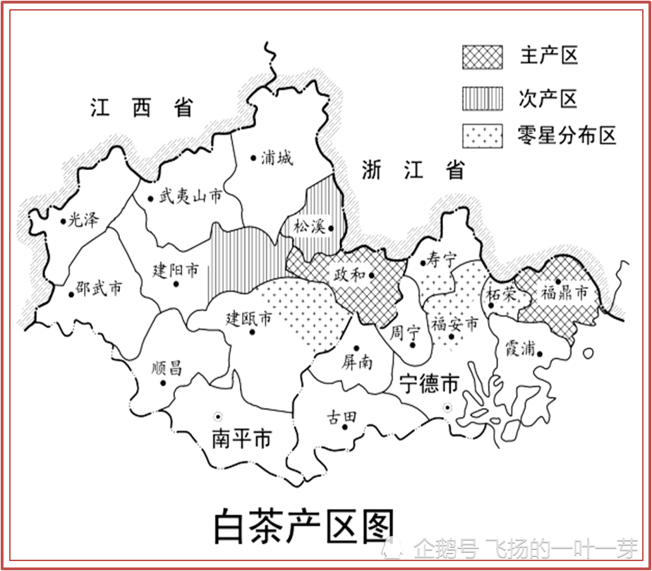 白茶话正本清源想了解白茶知识