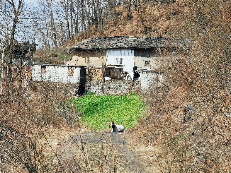 山尖上的古庙着实惊险 陕南这座庙能开发成3a景区吗