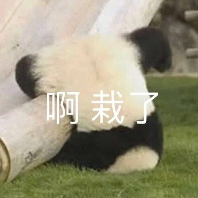 表情包|有一种落寞的温暖