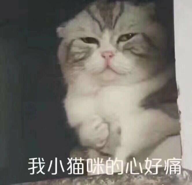 趣味表情包二十一,一个挑事的微笑.嘿嘿.