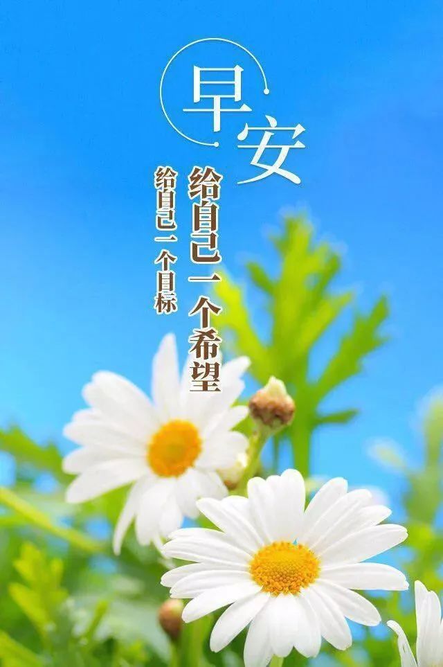 周四,早上好! 人生不是赶路,而是去感受路.
