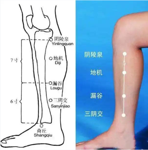 基本处于1条线~从阴陵泉往三阴交推这里要注意,如果脾经堵塞,在推拿的